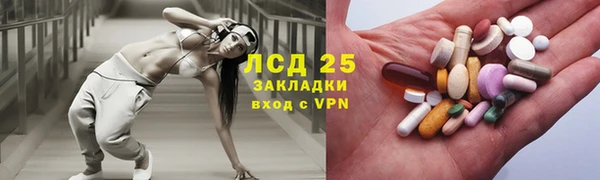 хмурый Абаза