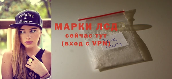 хмурый Абаза