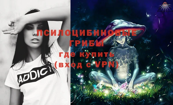 хмурый Абаза