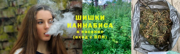 хмурый Абаза