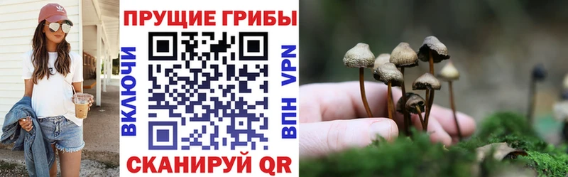 Галлюциногенные грибы прущие грибы  Благодарный 