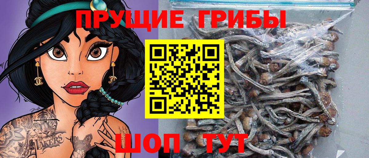 Благодарный  Галлюциногенные грибы Cubensis  Вход с VPN 
