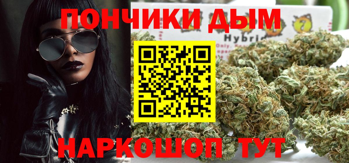 Бошки Шишки семена  МАРИХУАНА сатива  Канабис OG Kush  Благодарный  Вход с VPN 